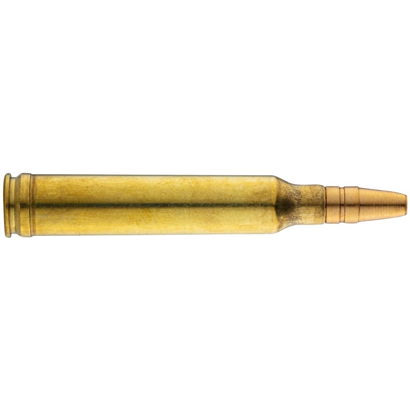 Balle de chasse SAUVESTRE Spécial battue - cal.300 Win Mag - boite de 20 - 164 GR - 10.63 g