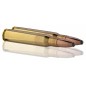 Balle de chasse grand gibier GEGO - cal.243 Win - boite de 20 - 105 GR - 6.8 g