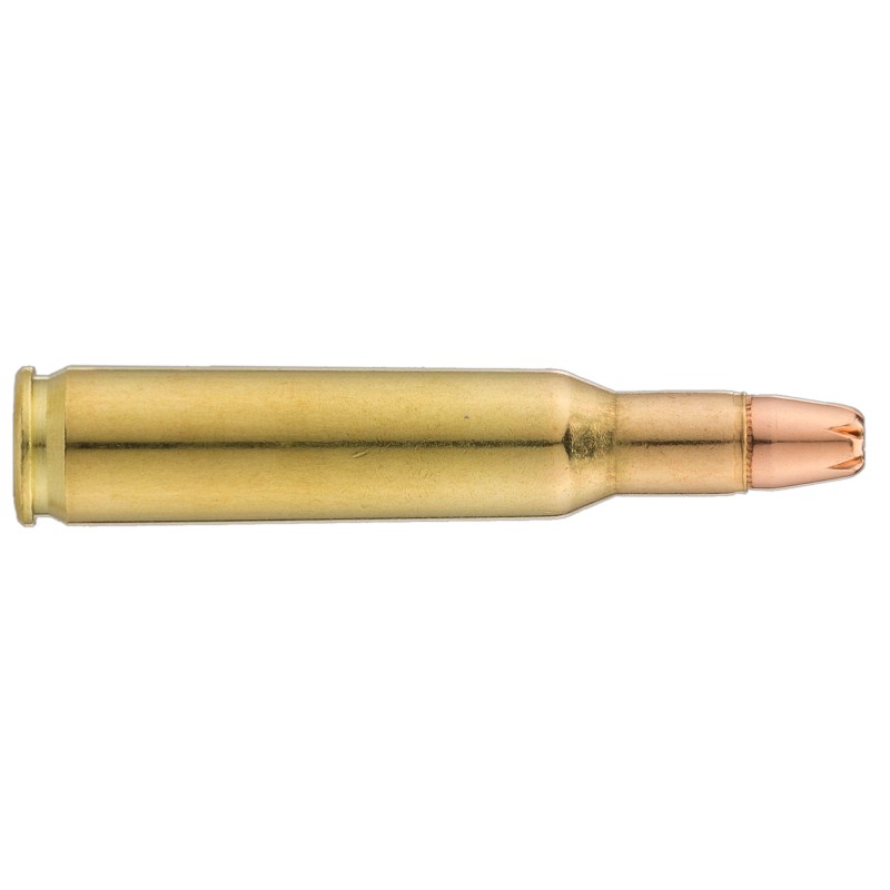 Balle de chasse grand gibier SOLOGNE - cal.222 Rem Sub - boite de 20 - 45 GR - 2.9 g