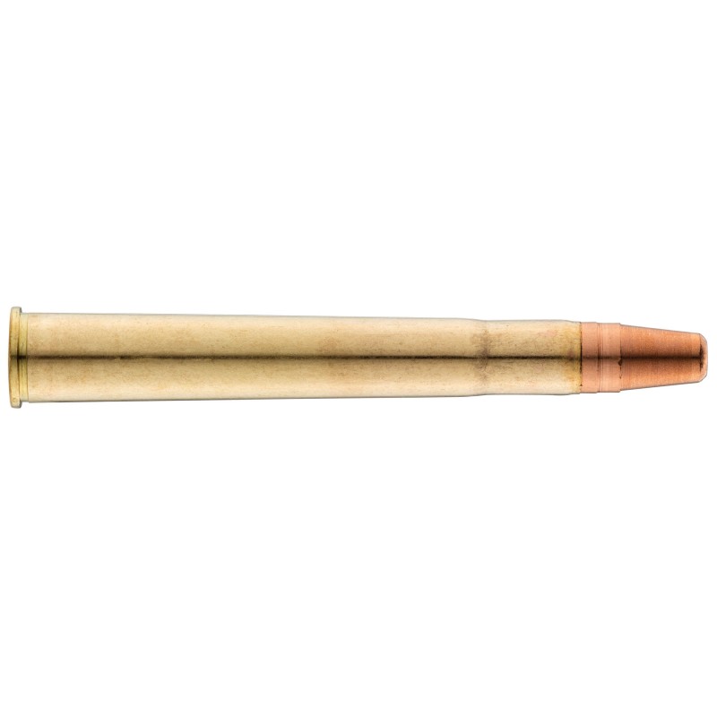 Balle de chasse grand gibier SOLOGNE - cal.9.3 x 74 R - boite de 20 - 238 GR - 15.4 g