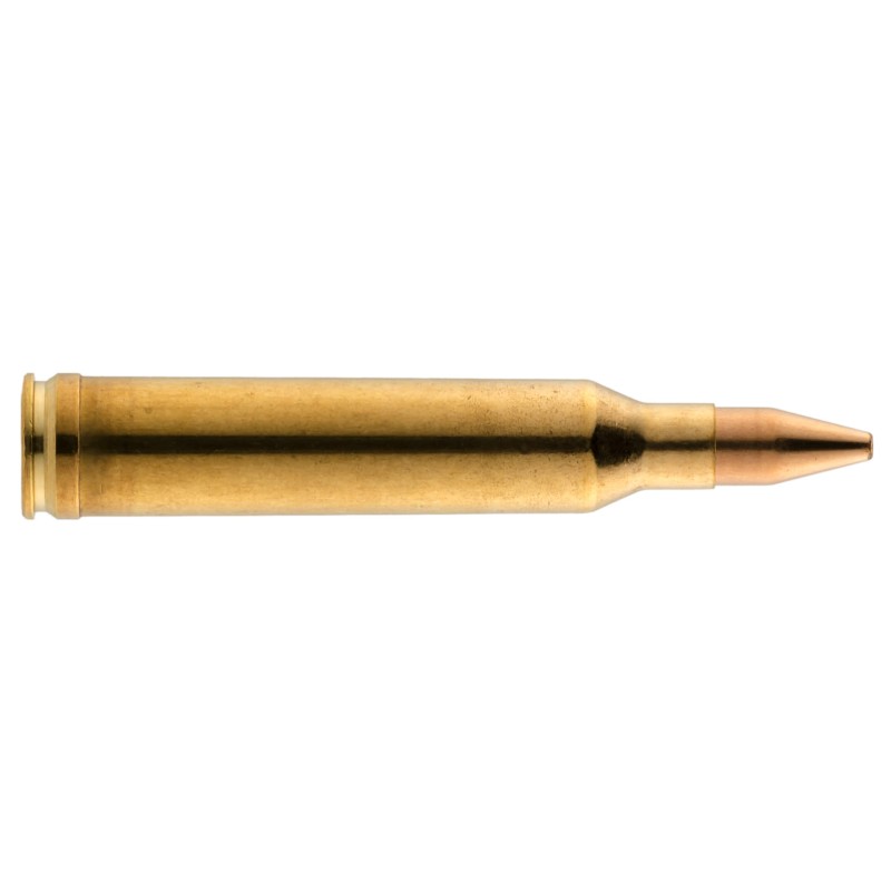 Balle de chasse grand gibier RWS AMMUNITION - cal.7 mm Rem Mag - boite de 20 - 177 GR - 11.5 g