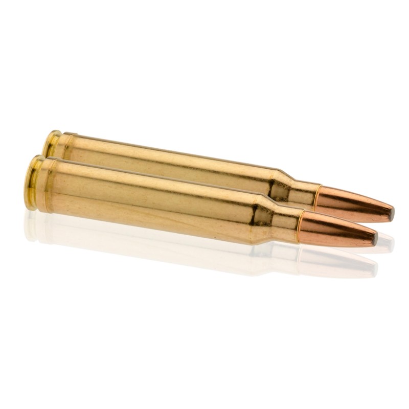 Balle de chasse NORMA - cal.300 Win Mag - boite de 20 - 201 GR - 12.96 g