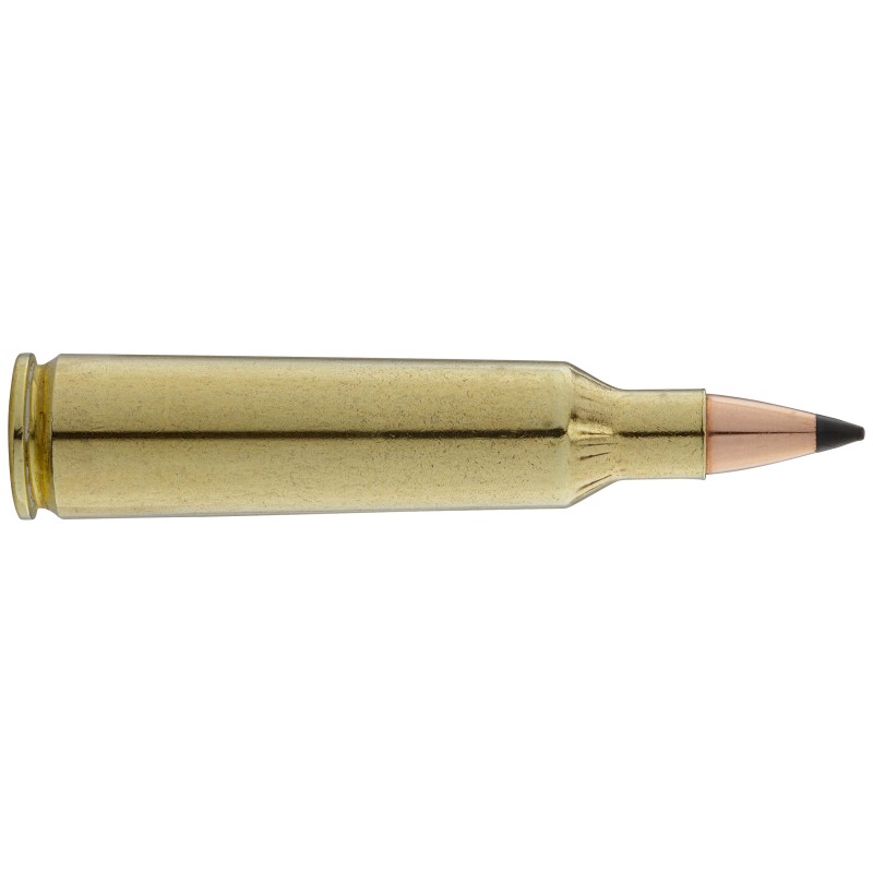 Balle de chasse WINCHESTER - cal.22-250 - ogive Soft point - boite de 20 - 55 GR - 3.56 g